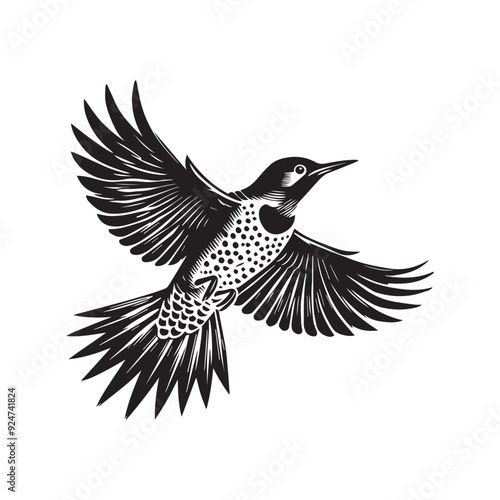 Northern flicker silhouette, Woodpecker  Bird Clipart,  Northern flicker Hovering in air illustration in black and white