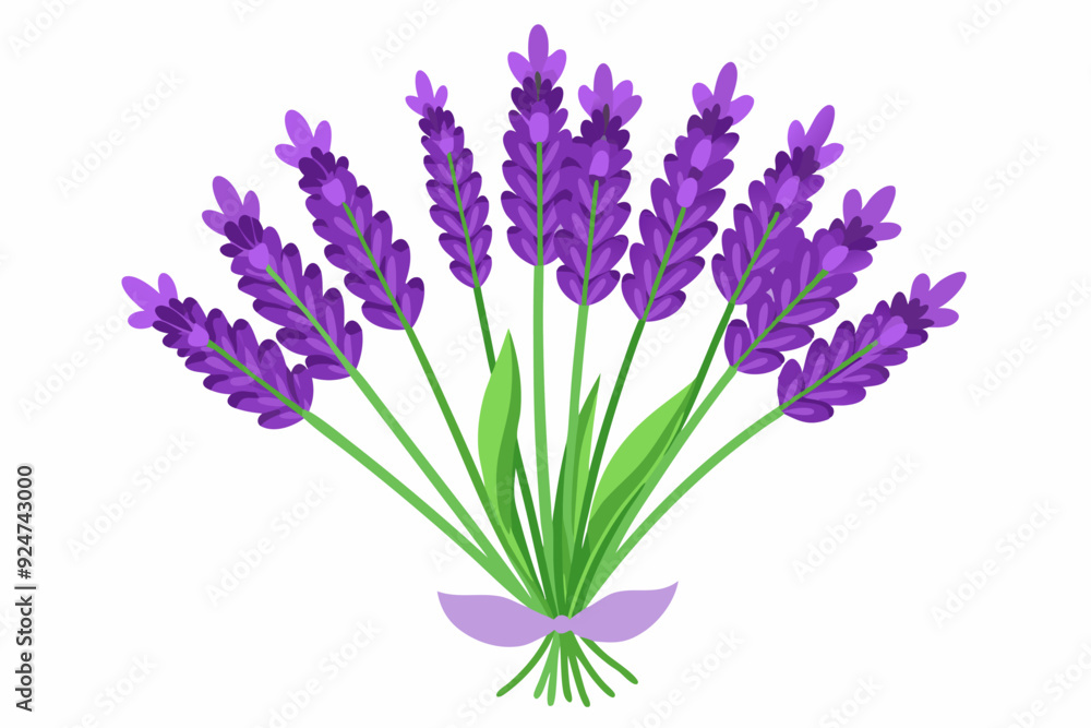 Fototapeta premium A Bouquet of Lavender Flowers with Green Stems and a Purple Ribbon