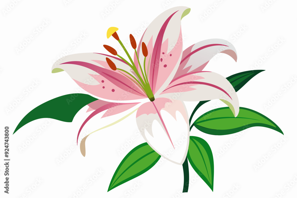 Naklejka premium Pink and White Lily with Green Leaves