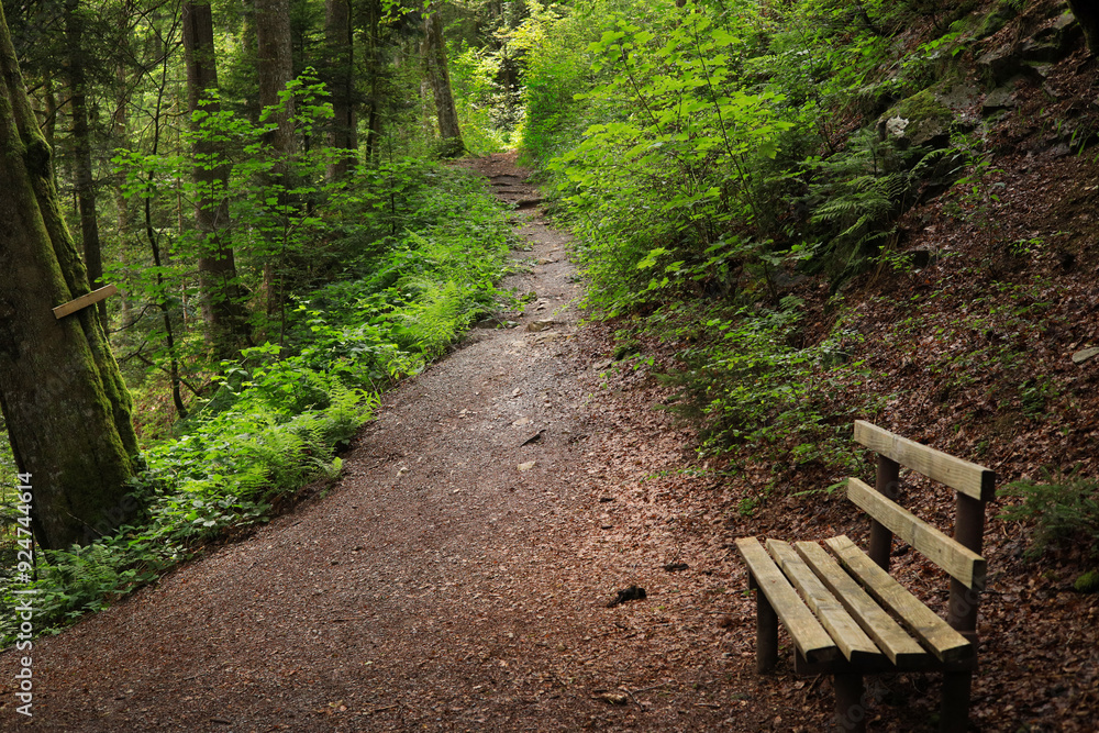 A wooden bench along the hiking trail Rabenschlucht (Raven Gorge) Todtmoos, High Black Forest - Germany A wooden bench along the hiking trail Rabenschlucht (Raven Gorge) Todtmoos, High Black Forest - Germany