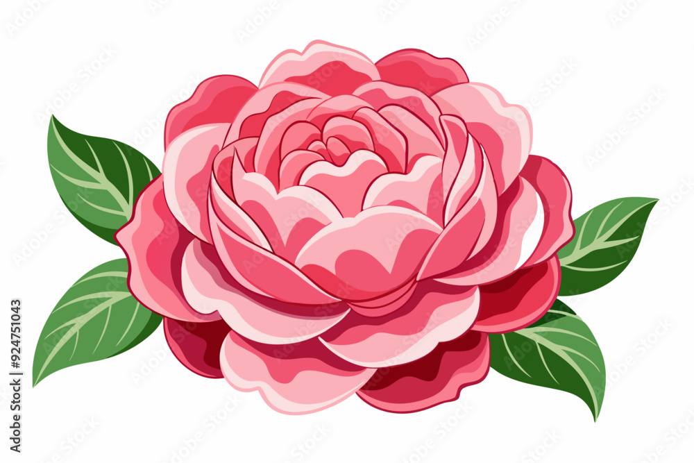A Pink Rose with Green Leaves A Pink Rose with Green Leaves