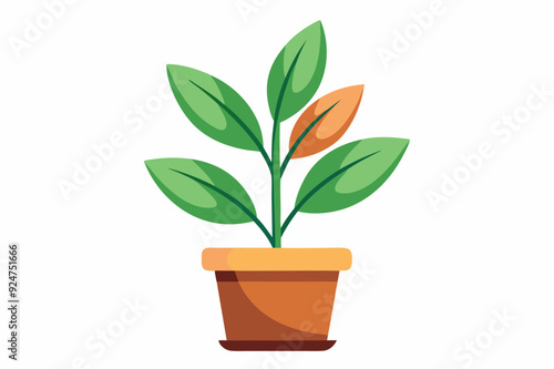 A potted plant with green and orange leaves