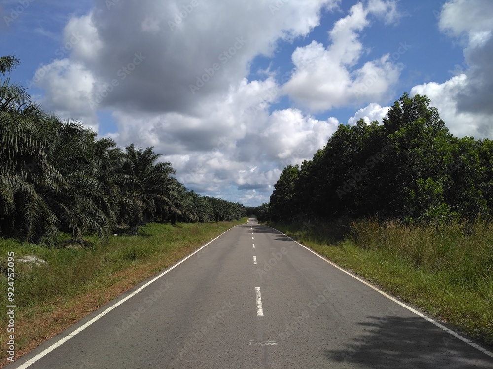 A long, empty road stretches into the distance, flanked by lush palm plantations and dense forest. The expansive sky, filled with dramatic clouds, enhances the serene, rural landscape. A long, empty road stretches into the distance, flanked by lush palm plantations and dense forest. The expansive sky, filled with dramatic clouds, enhances the serene, rural landscape.