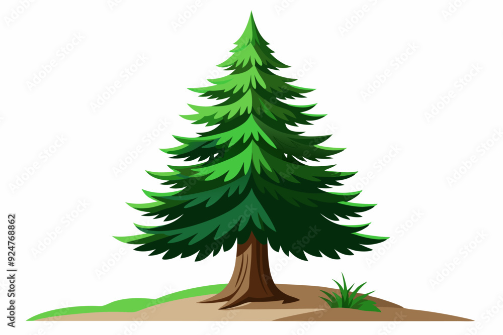 Single Tall Green Pine Tree on a Hill Single Tall Green Pine Tree on a Hill