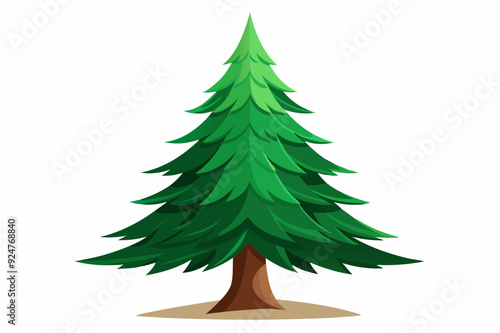 A Single Tall Evergreen Tree with Brown Trunk