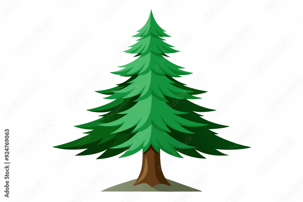 Tall Green Evergreen Tree with Brown Trunk Tall Green Evergreen Tree with Brown Trunk