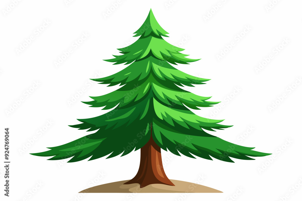 A Tall Green Pine Tree with Brown Trunk and a Small Ground Base A Tall Green Pine Tree with Brown Trunk and a Small Ground Base