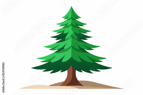 A Tall, Green Pine Tree Stands on a Sandy Base