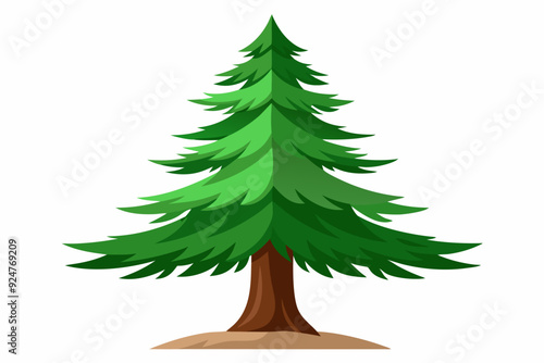 A Tall Green Pine Tree with a Brown Trunk