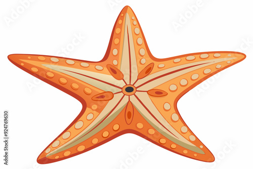 Orange Starfish with Tan Accents and a Black Center