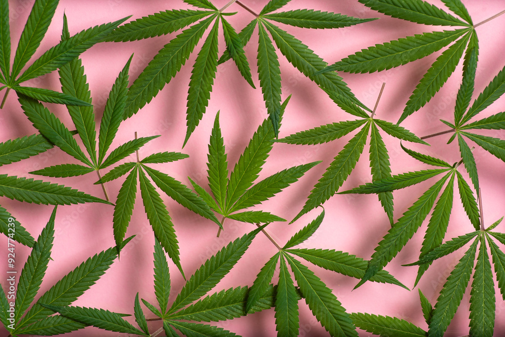 Marijuana leaves background