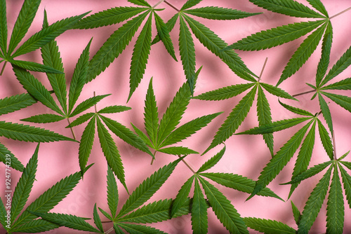 Obraz na płótnie Marijuana leaves background w salonie