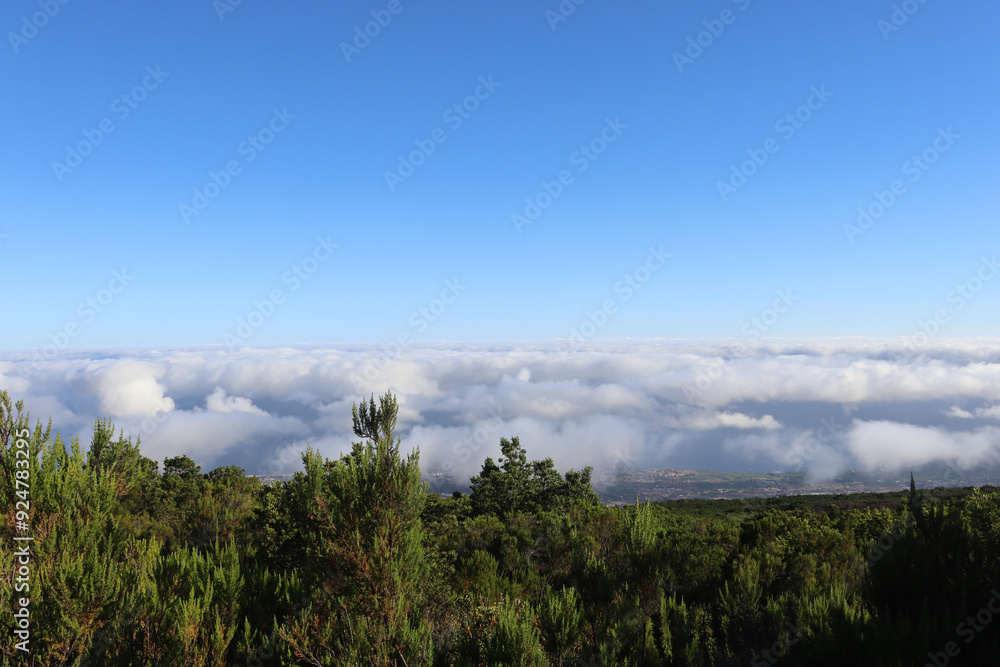 Sea of clouds on the island of Tenerife Sea of clouds on the island of Tenerife
