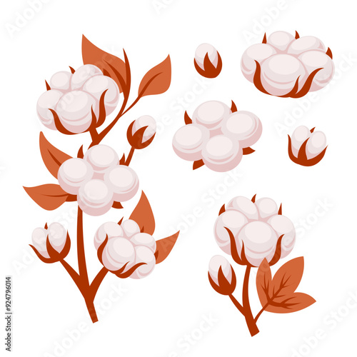 Cotton plant branches with blooming flowers having soft fluffy bolls used for making fabric