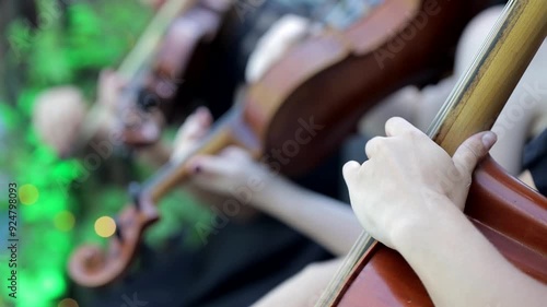 Violin concert. Musician playing violin outdoors. Violinist play music for the wedding. Violin under the open sky. Wedding music concept
