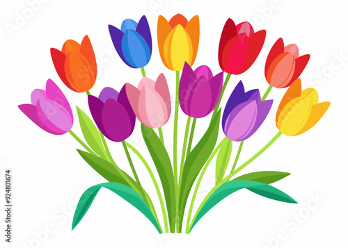 colorful tulips isolated vector illustration on white background