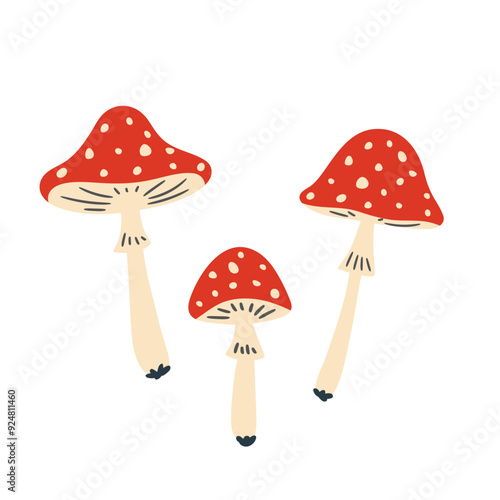 Billede på lærred set of fly agaric mushrooms on white background, vector illustration in flat sty