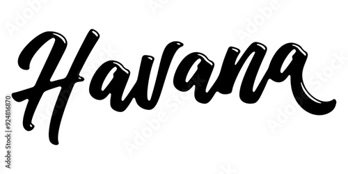 Havana city name written in street art-style liquid brush script lettering