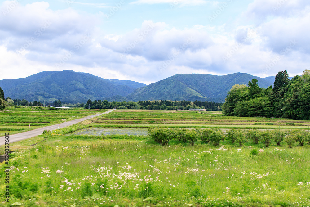 Serenity Amidst Verdant Rice Paddies and Mountain Peaks Serenity Amidst Verdant Rice Paddies and Mountain Peaks