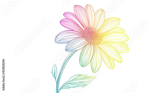 A colorful flower with a rainbow of colors