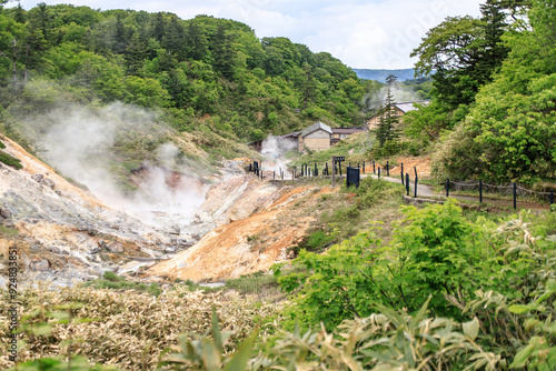 Serpentine Pathway Through Goshougake Onsen Geothermal Landscape