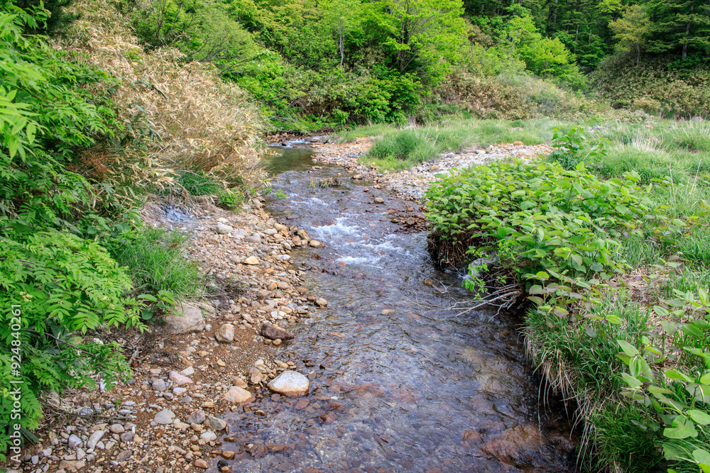 Scenic Natural Stream Flowing Through Lush Forest, Goshougake Onsen, Akita, Japan Scenic Natural Stream Flowing Through Lush Forest, Goshougake Onsen, Akita, Japan