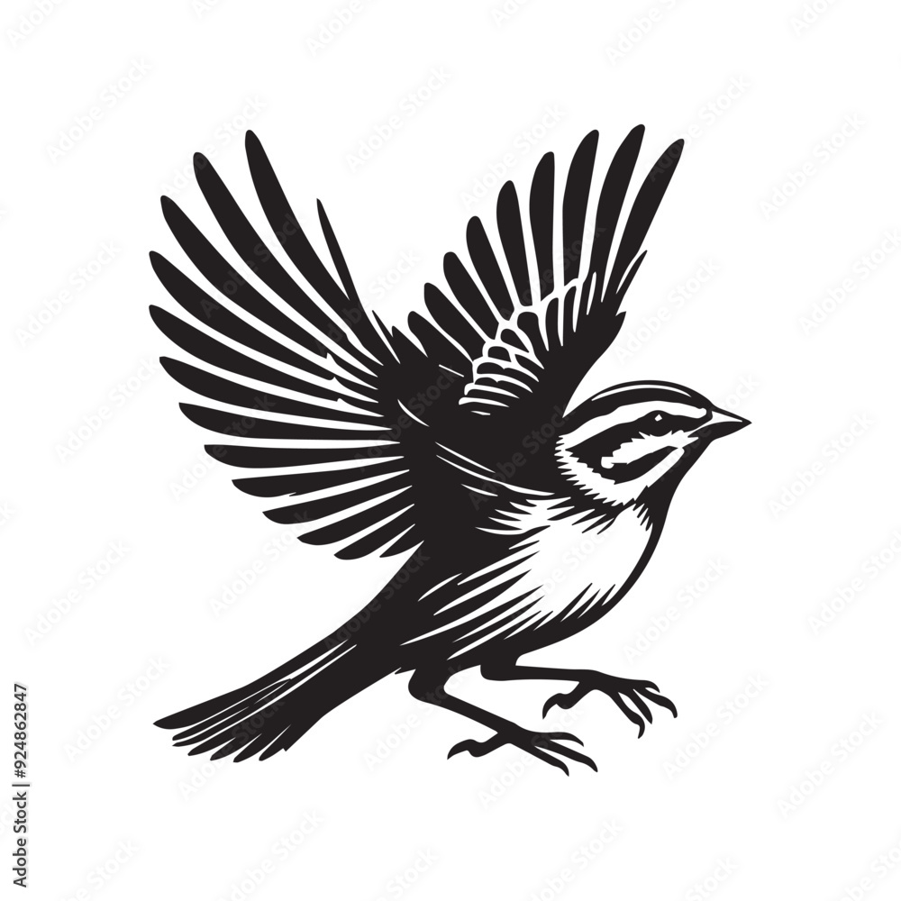 Obraz premium White-throated sparrow silhouette, Sparrow Bird Clipart, White-throated Sparrow wings partially illustration in black and white
