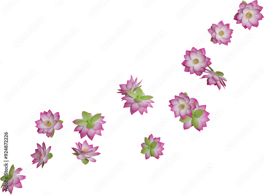 pink lotus flower pink lotus flower