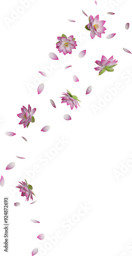 Wallpaper Mural falling pink lotus flower Torontodigital.ca