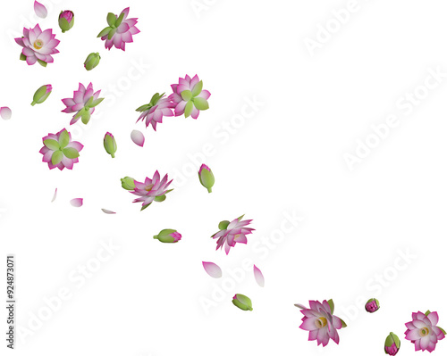 Wallpaper Mural falling pink lotus flower Torontodigital.ca