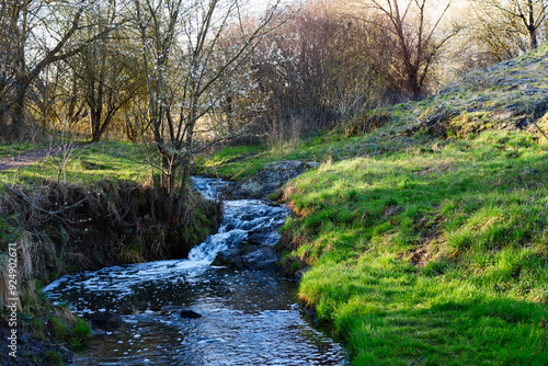 Prokopsky potok. Forest stream scene in recreational park area Prokopsky udoli in Prague, Czech Republic