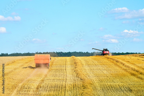Combine harvester and truck working on field. Combine harvester at work, plowing golden wheat field, rural agribusiness. Wheat harvest operation