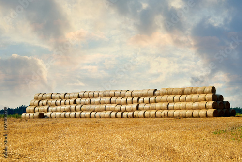 Hay bales are piled high in countryside field, prepared for the winter months, ready to transport the bales to storage or market. Rural field is filled with neatly stacked hay bales. Feed for animals