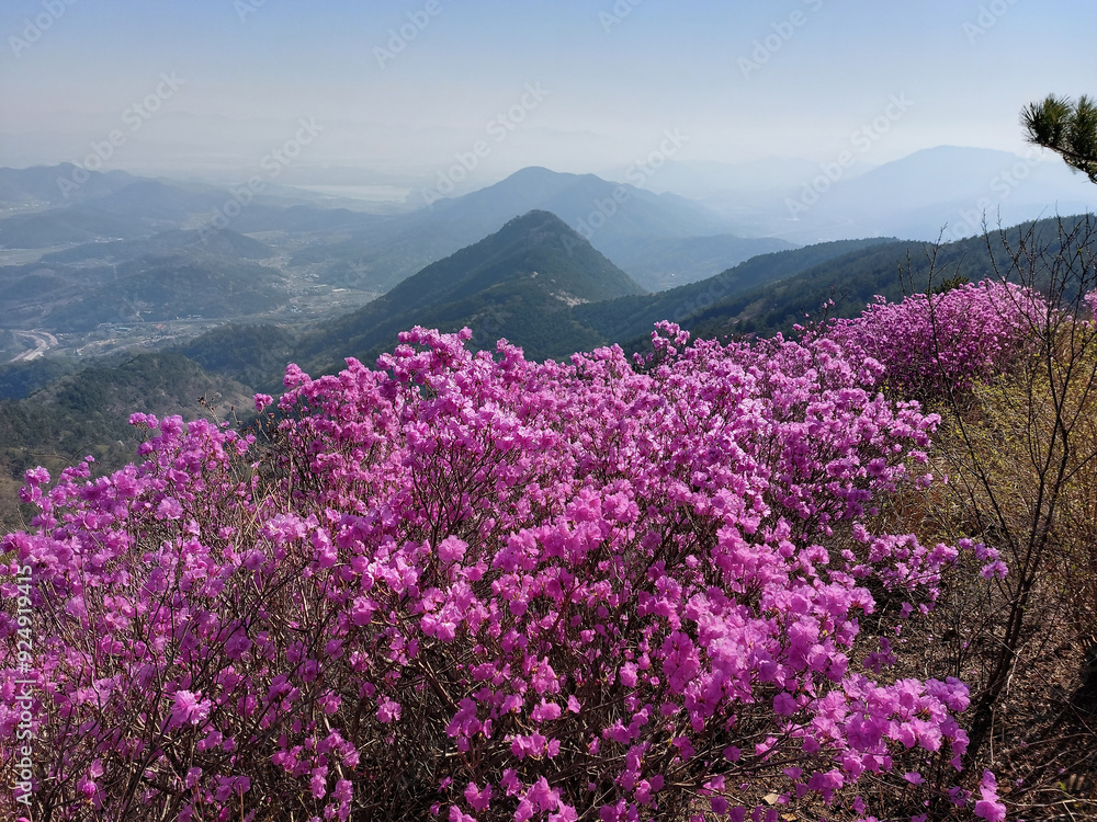 Fototapeta premium In Korea Beautiful and fantastic autumn sky and mountains