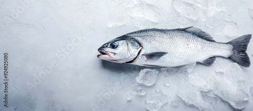 Raw sea bass fish Preparing...