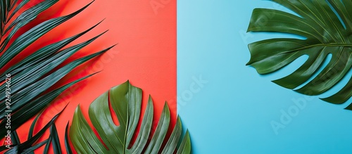 Palm leaves are arranged on...