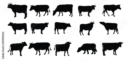 Cows silhouette collection.