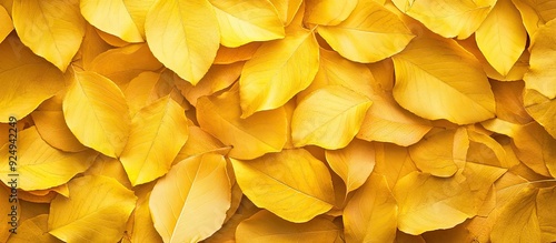 Textured background of leav...