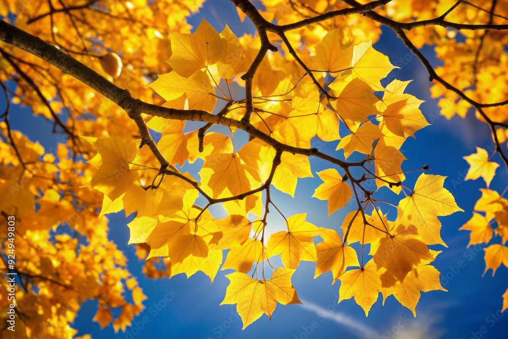 Vibrant yellow leaves cling to a tree branch, softly glowing against a clear blue autumn sky, seconds before drifting gently to the ground. Vibrant yellow leaves cling to a tree branch, softly glowing against a clear blue autumn sky, seconds before drifting gently to the ground.