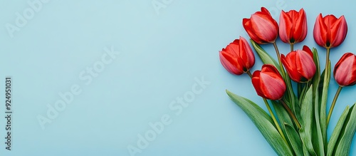 A cluster of red tulips aga...