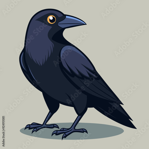 Un beau corbeau Corvus corax, oiseau Nord Pologne Europe