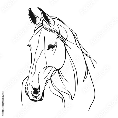 Realistic horse portrait, line art. Outline abstract horse head