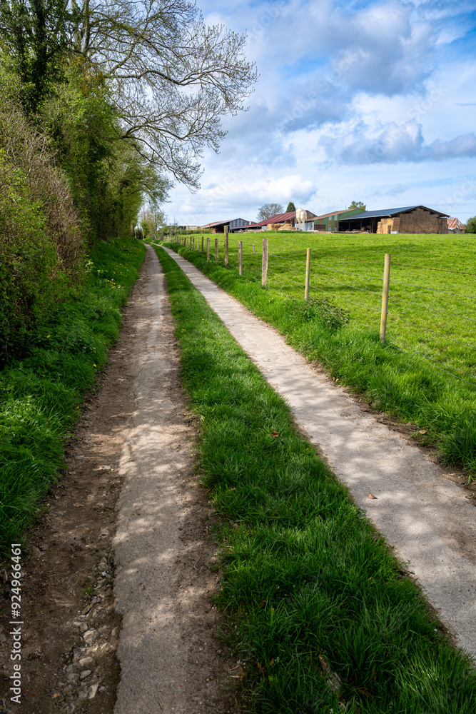 Chemin agricole goudronné le long d'une prairie et d'un corps de ferme Chemin agricole goudronné le long d'une prairie et d'un corps de ferme