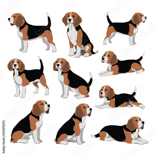 Beagle Silhouette Vector Template Illustration