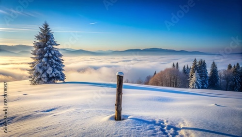 Lonely wooden post stands isolated in the midst of a vast, deserted, and serene winter landscape, surrounded by snow-covered trees and a misty foggy atmosphere.