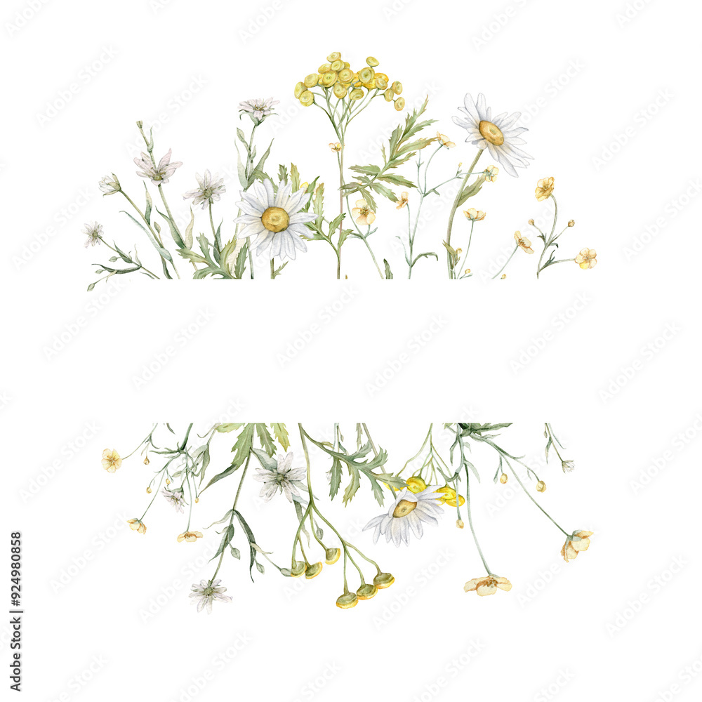 Watercolor frame of yellow buttercup and white little flower and common tansy. Watercolor hand painting illustration on isolate. Bouquet meadow flowers for invitation. Botanical summer wildflower. Watercolor frame of yellow buttercup and white little flower and common tansy. Watercolor hand painting illustration on isolate. Bouquet meadow flowers for invitation. Botanical summer wildflower.