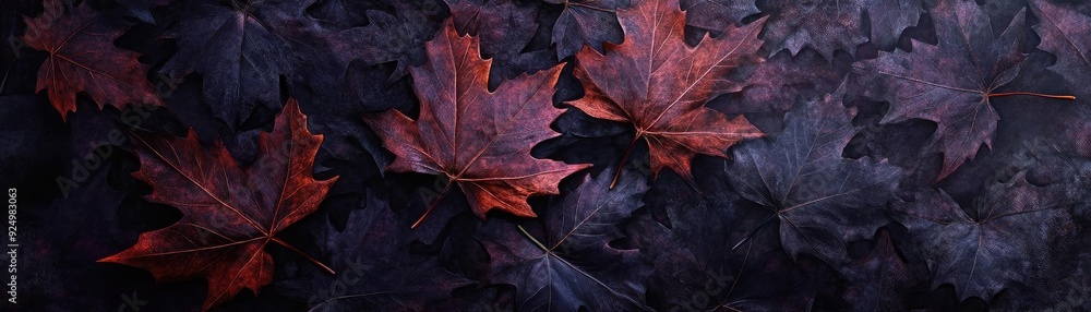 A vibrant arrangement of fallen maple leaves in shades of red and dark hues, perfect for autumn-themed designs and backgrounds. A vibrant arrangement of fallen maple leaves in shades of red and dark hues, perfect for autumn-themed designs and backgrounds.