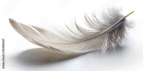 minimalist curved feather simple white background subtle shadow gentle soft focus serene peaceful contemplative photo