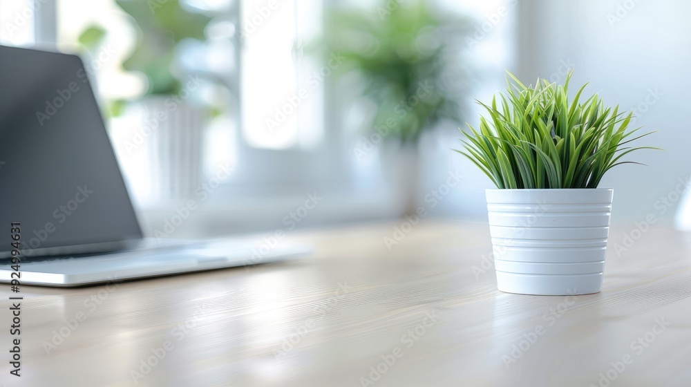 Workspace with Laptop and Green Succulent Plant Workspace with Laptop and Green Succulent Plant