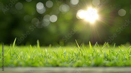 Organized and Neatly Cut Grass with Bright Sunshine Background